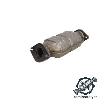 کاتالیزور کیا کارناوال